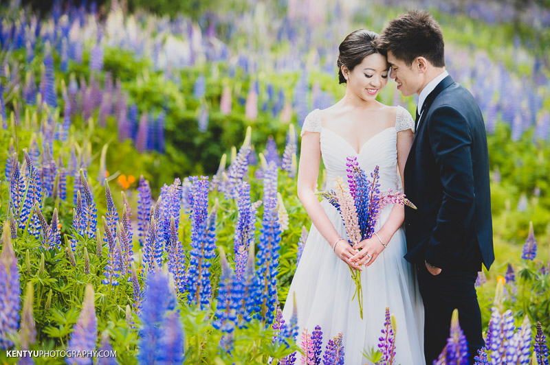 New Zealand Lake Tekapo Lupins Pre-wedding | Emmie & Kelvin