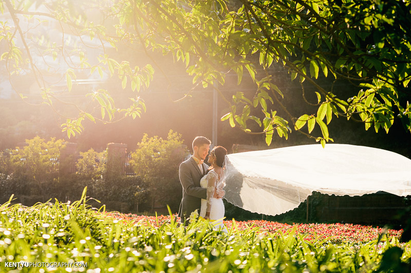 Wellington Wedding Photographer | Botanic Garden Wedding | Visha & Jonathan