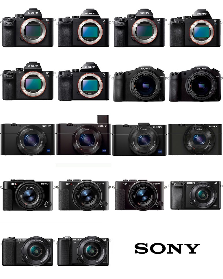 Buyers Guide for Sony Mirrorless Cameras