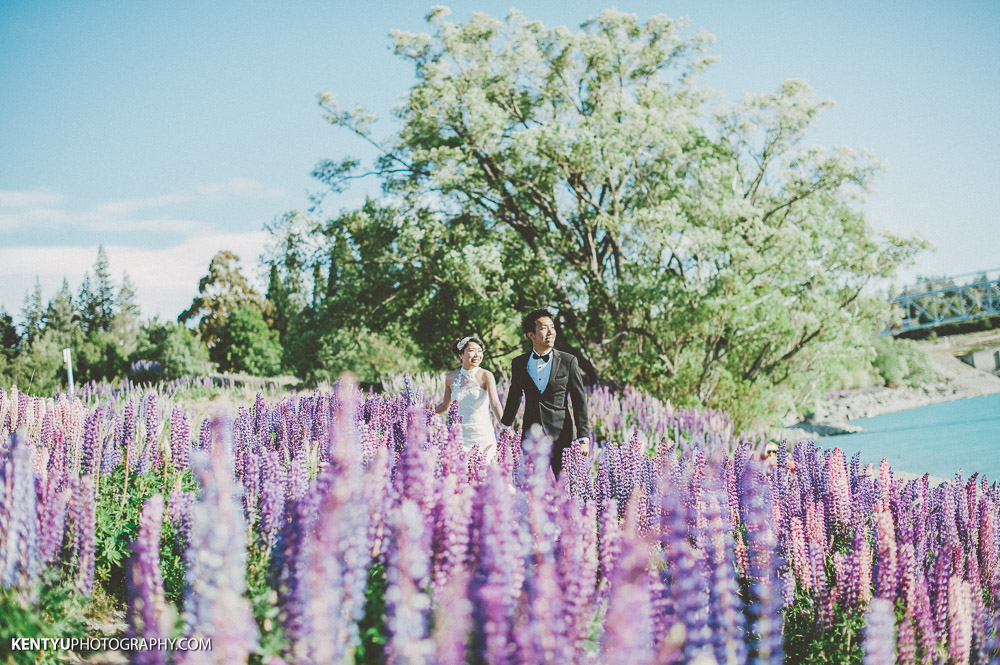 New Zealand Pre-Wedding | New Zealand Beautiful Sceneries | WingSum & Daniel