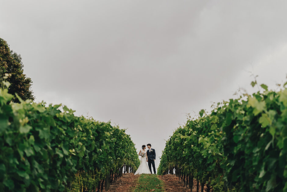 Auckland Wedding Photographer – Matakana Plume The Vineyard Wedding